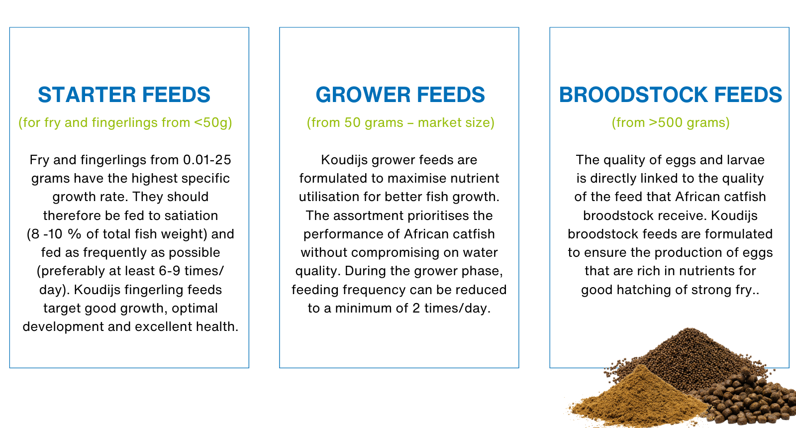 Catfish feed assortment (5).png